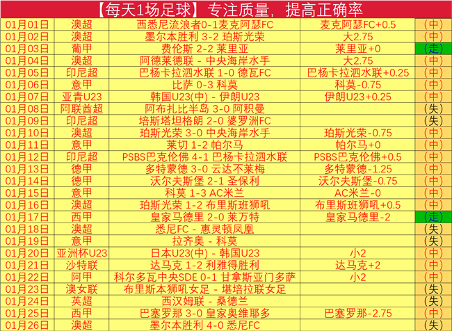 中国羽毛球,亚团赛逆转,胜日本,爱游戏app,爱游戏官网,爱游戏体育官网,爱游戏体育app