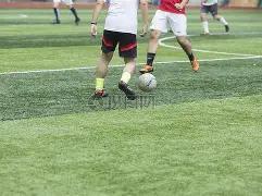 烏度卡強調,提速是可行,關鍵是確保,爱游戏app,爱游戏官网,爱游戏体育官网,爱游戏体育app